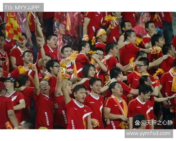 足球巨星背影的故事与荣耀展现了他们不为人知的奋斗与坚持 足球巨星背影的故事与荣耀展现了他们不为人知的奋斗与坚持