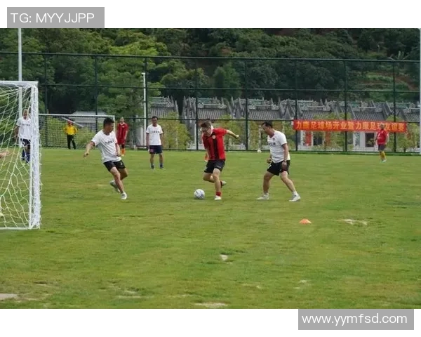 足球明星的独特技艺揭秘助你提升球场表现与技巧水平