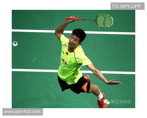 重庆羽毛球队个人能力表现的数据分析与提升策略探讨