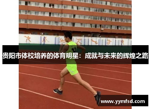 贵阳市体校培养的体育明星：成就与未来的辉煌之路