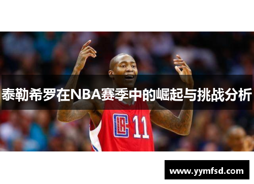 泰勒希罗在NBA赛季中的崛起与挑战分析